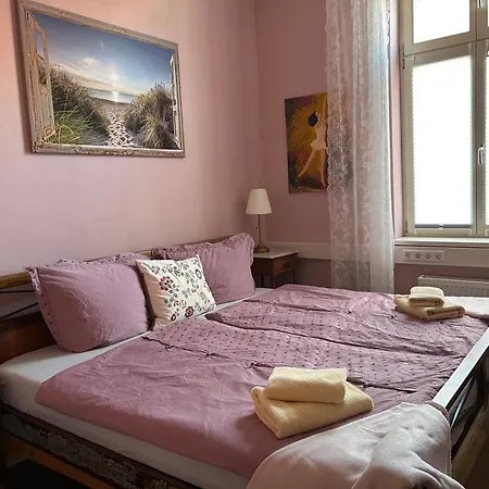 公寓 Grosszuegige Zentrale Altbauwohnung 施特雷利茨
