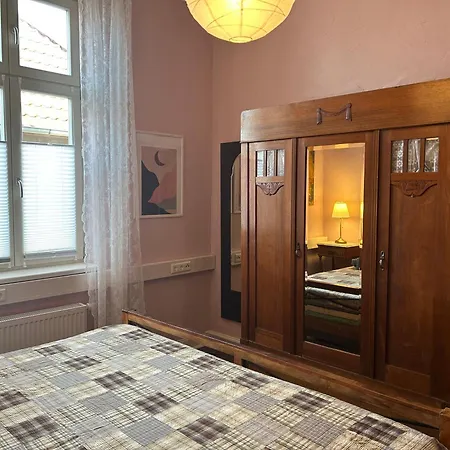 公寓 Grosszuegige Zentrale Altbauwohnung *