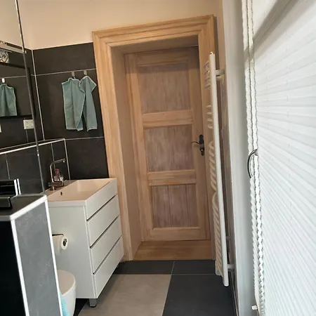 Grosszuegige Zentrale Altbauwohnung 施特雷利茨